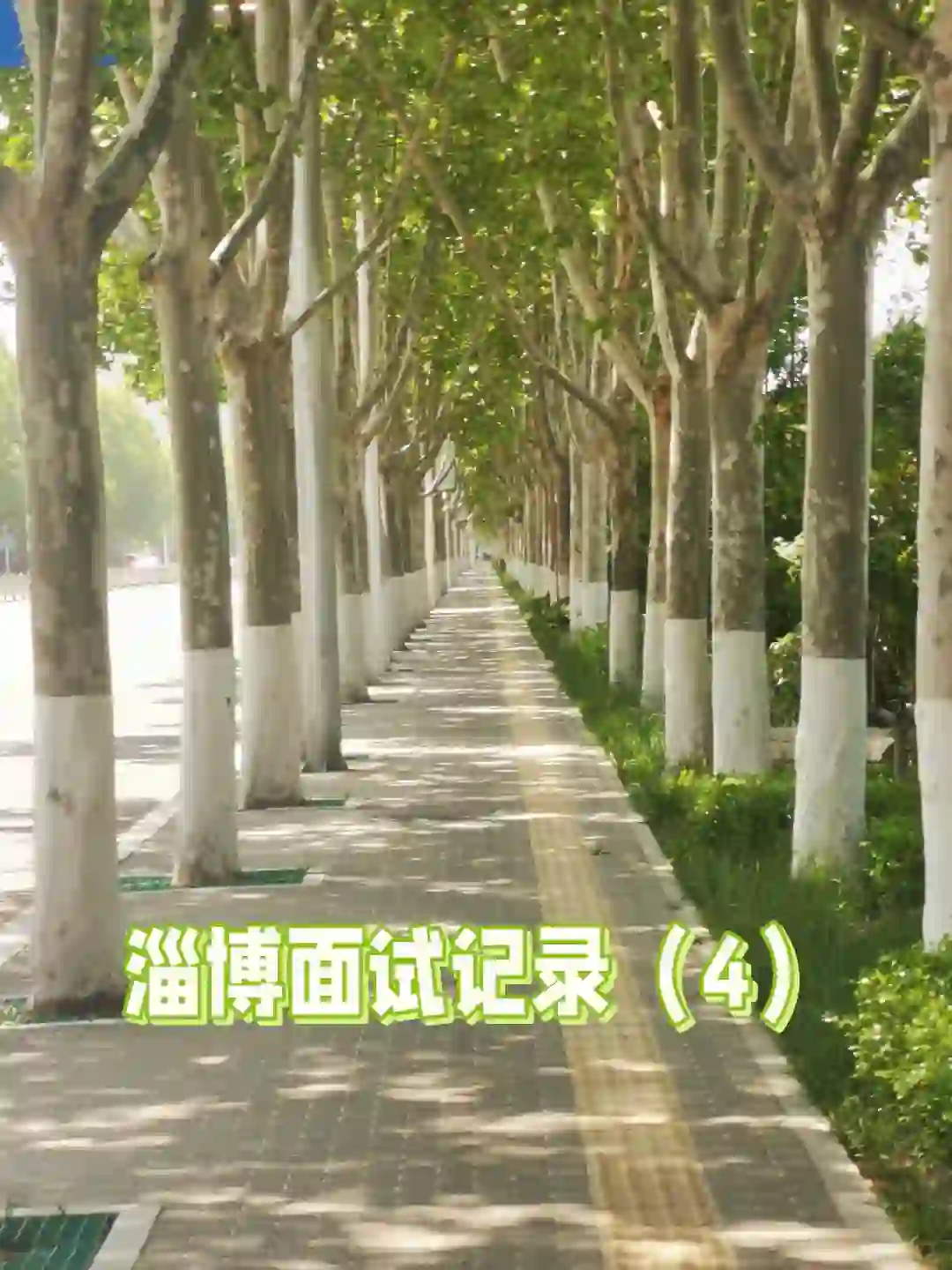 淄博面试记录（4）🌲🌲🌲