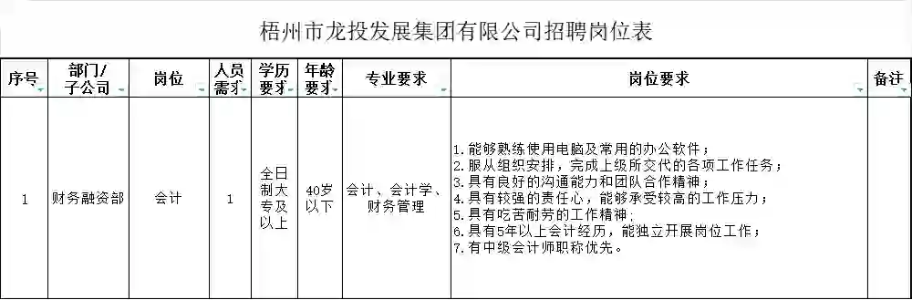 梧州市龙投发展集团聘财务