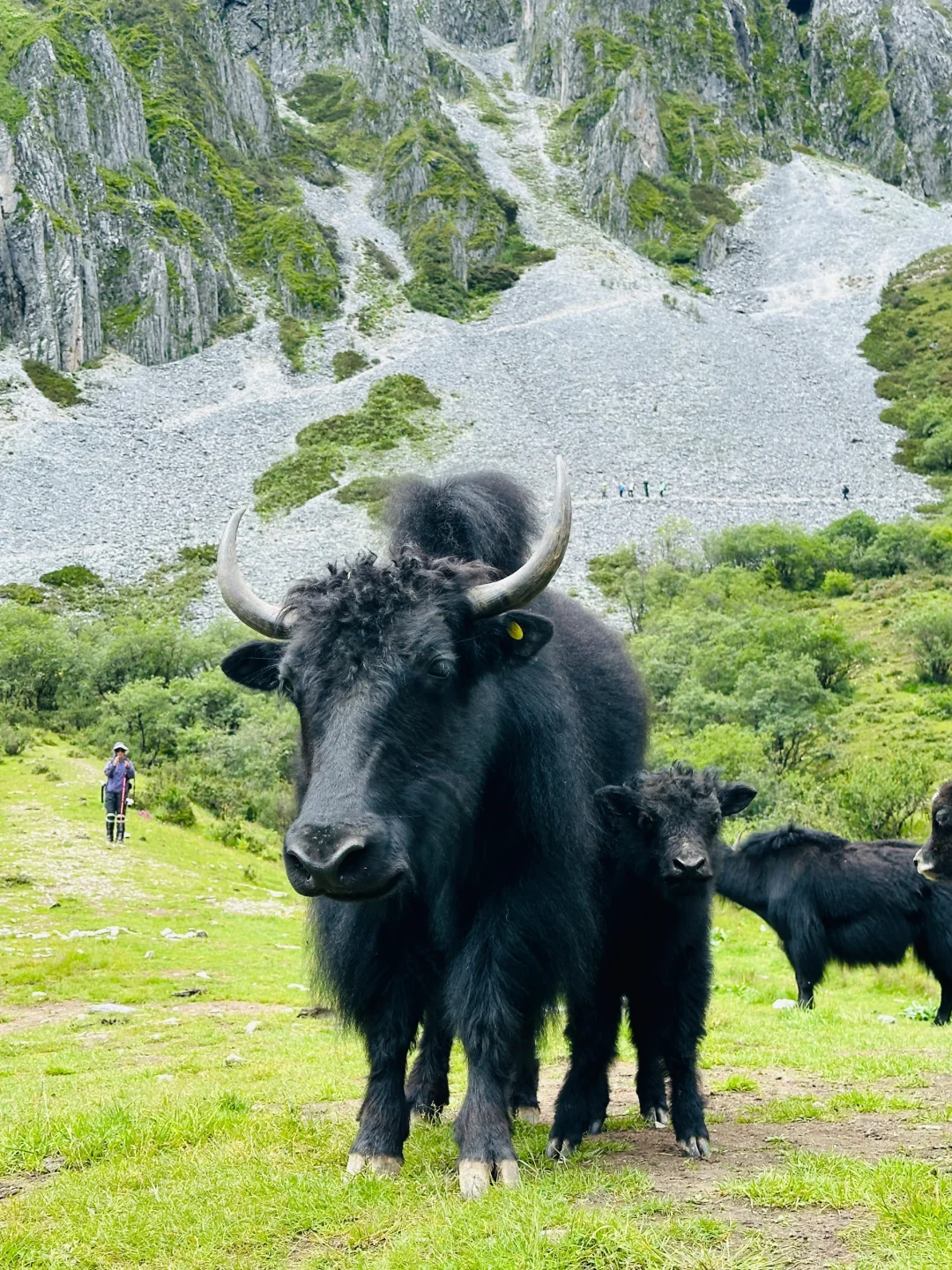 2024年秋季领队招聘计划公布📣📣