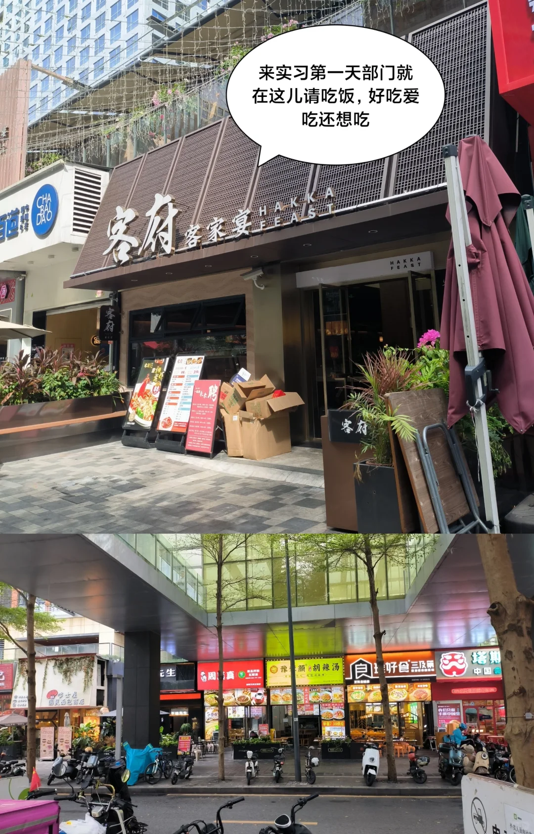 低调而优秀的公司——Vesync 深圳晨北科技