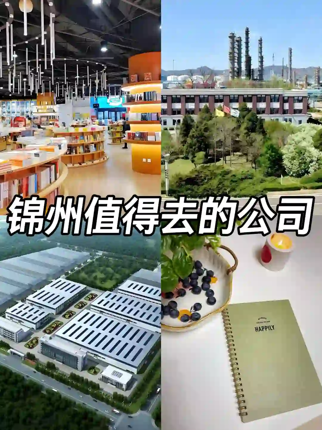 锦州神仙公司✨工作福利好 跳槽大胆冲✅