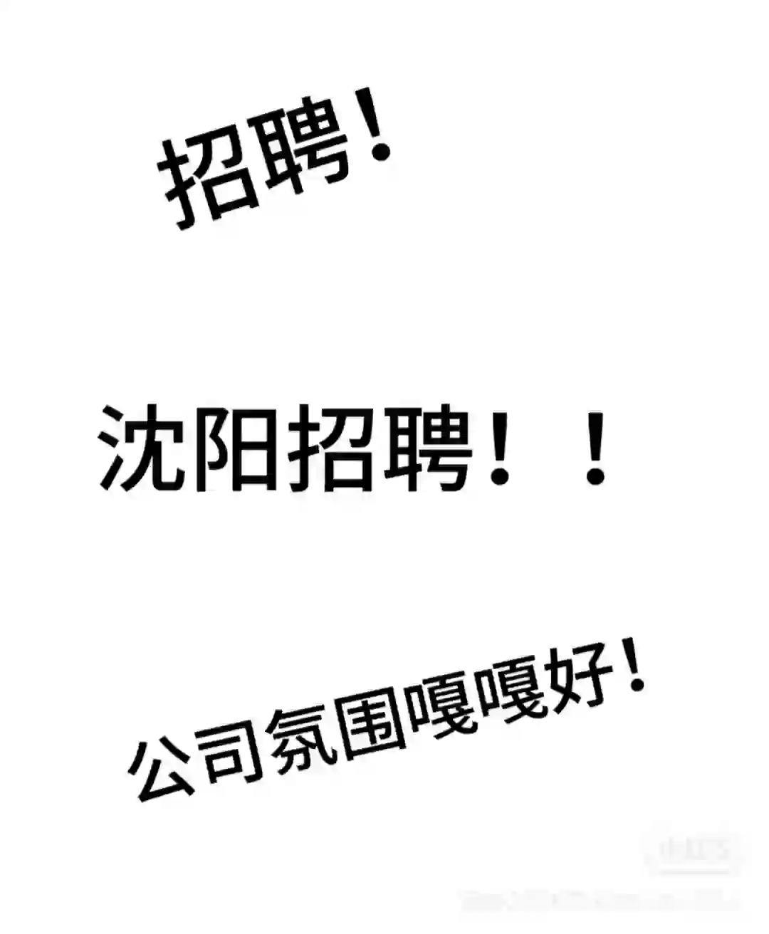 (沈阳招聘)小红书的工作真的比boss强!
