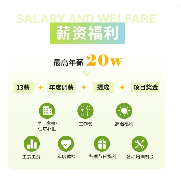 兰德集团2025届管培生秋季校招