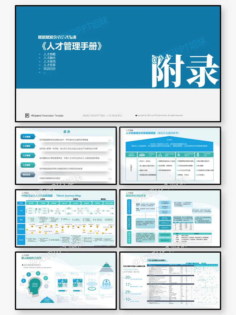 HR战略+人才+岗位+薪酬+绩效+管理手册PPT