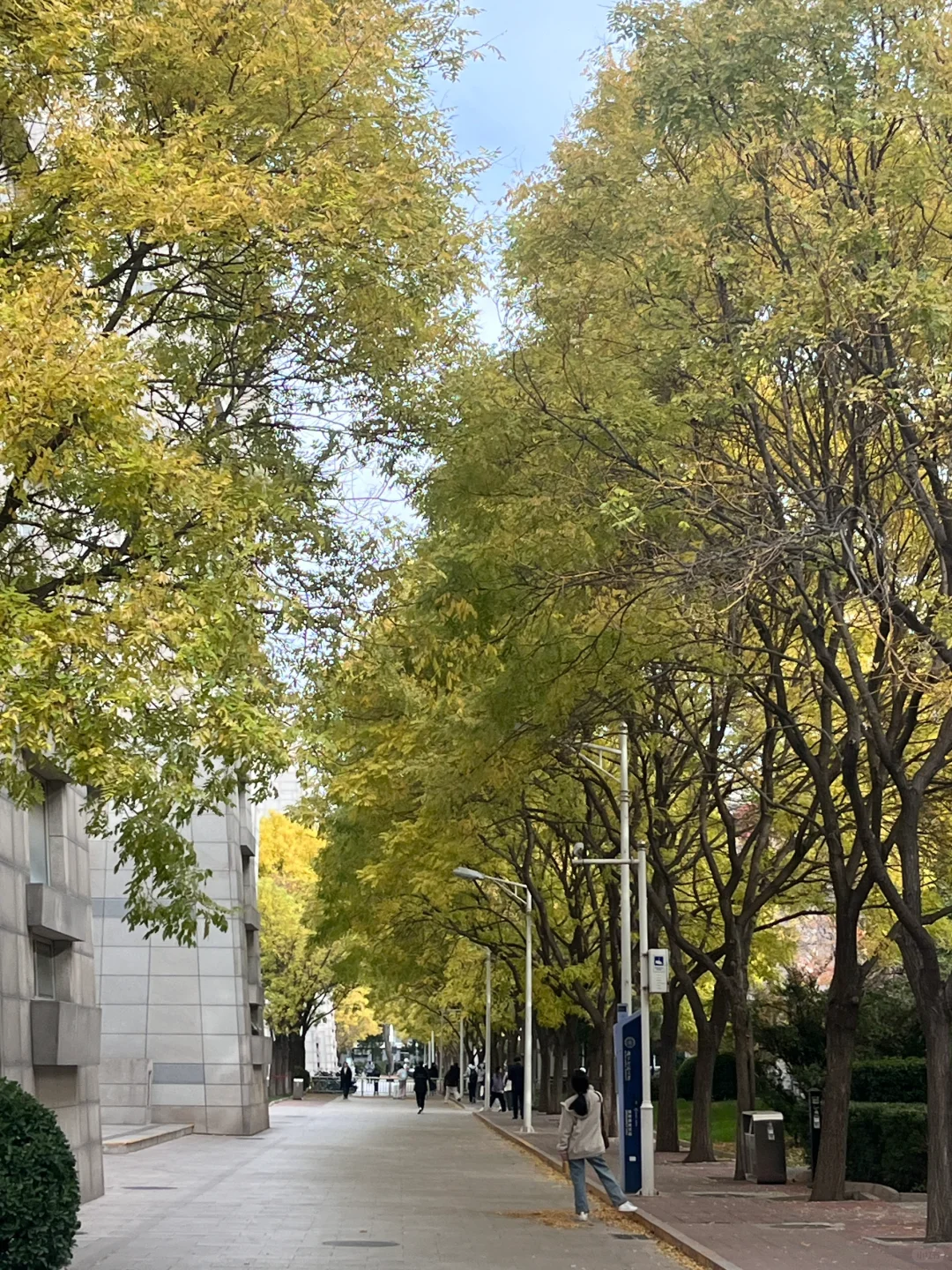 跑招之路|龙华太简单了，我好害怕😟