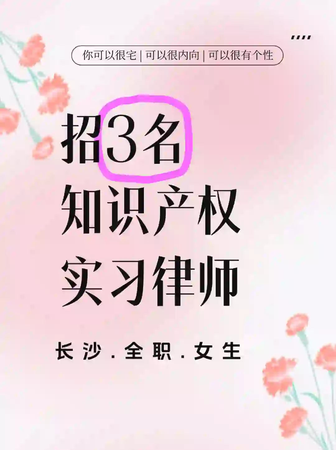 我们又又又招人啦！