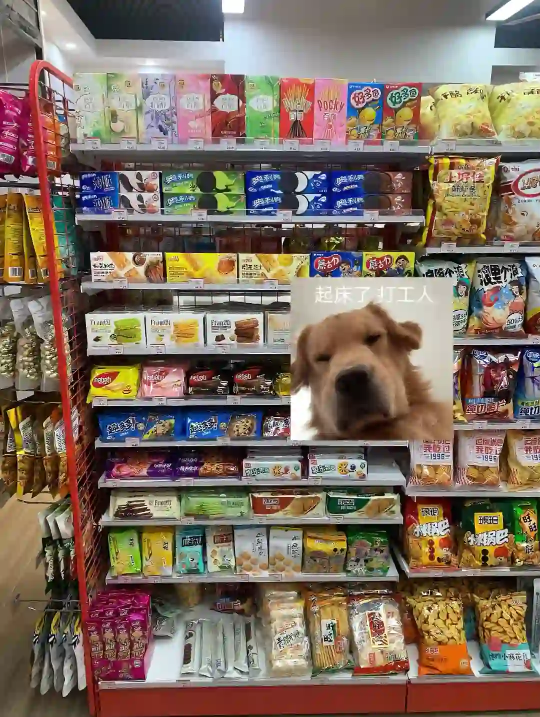 打工人，起床搞钱啦！