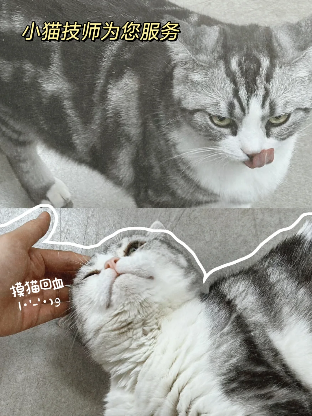 北京招聘｜听说小红书招人很快！🙋