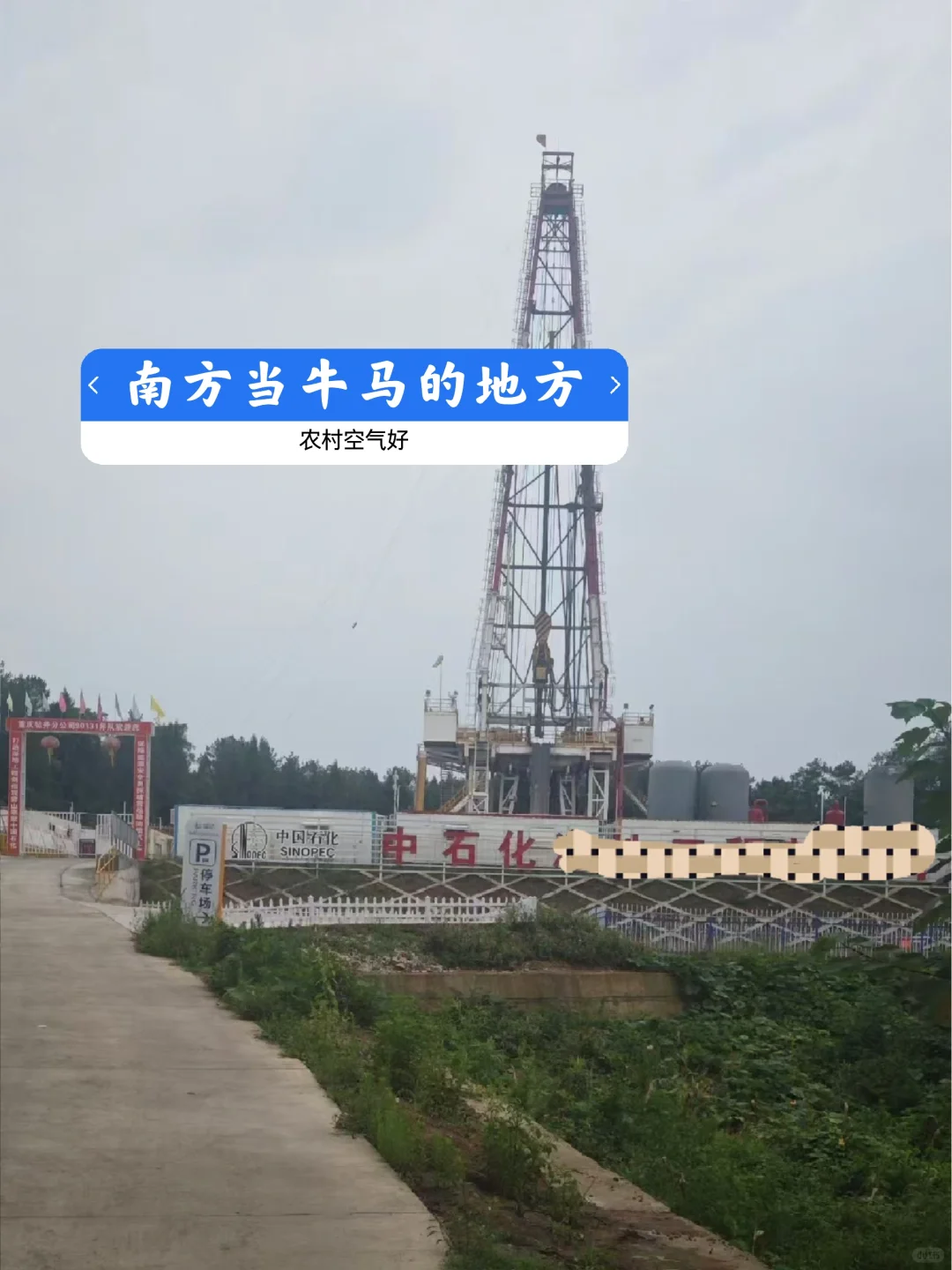 一觉醒来好几百人问我还要招人吗