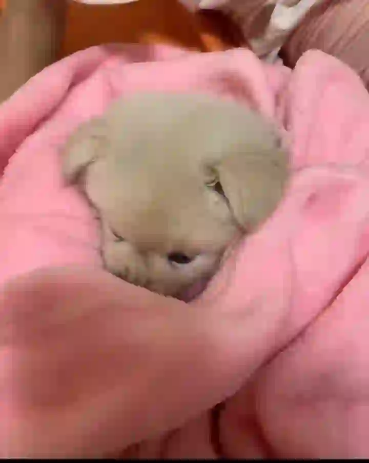 你做人不要太狠了