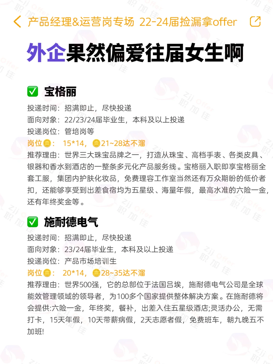 外企秋招果然偏爱往届女生啊🚀