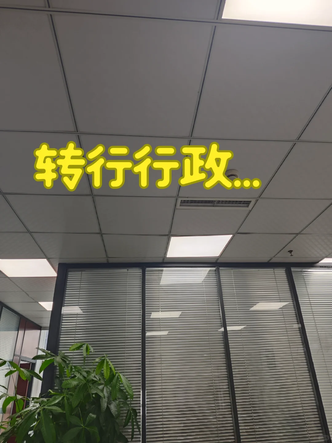 不是，你们做行政也是这些工作吗？