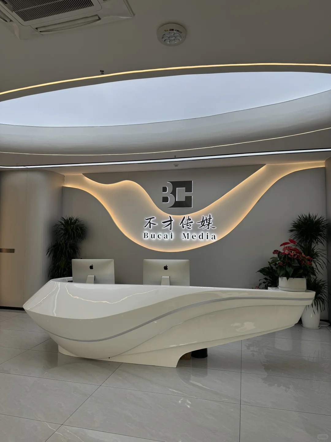 初创公司 半个月进度