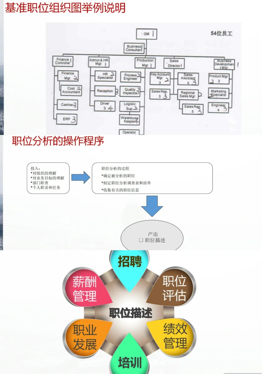 HR必看🔥公司职级管理规定这么做！