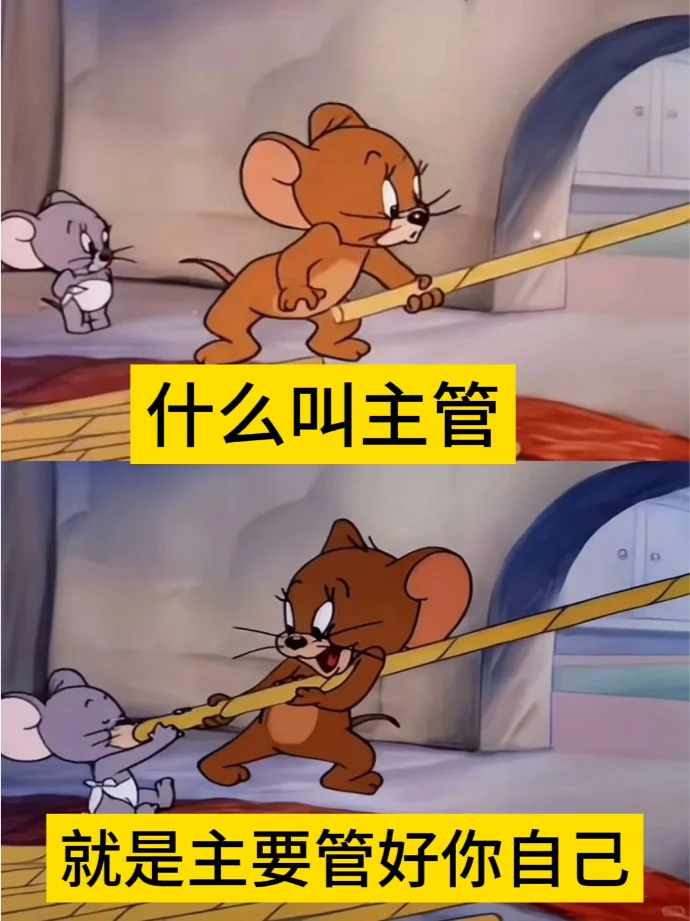 岗位名词接力，大家快来看热闹啊哈哈哈