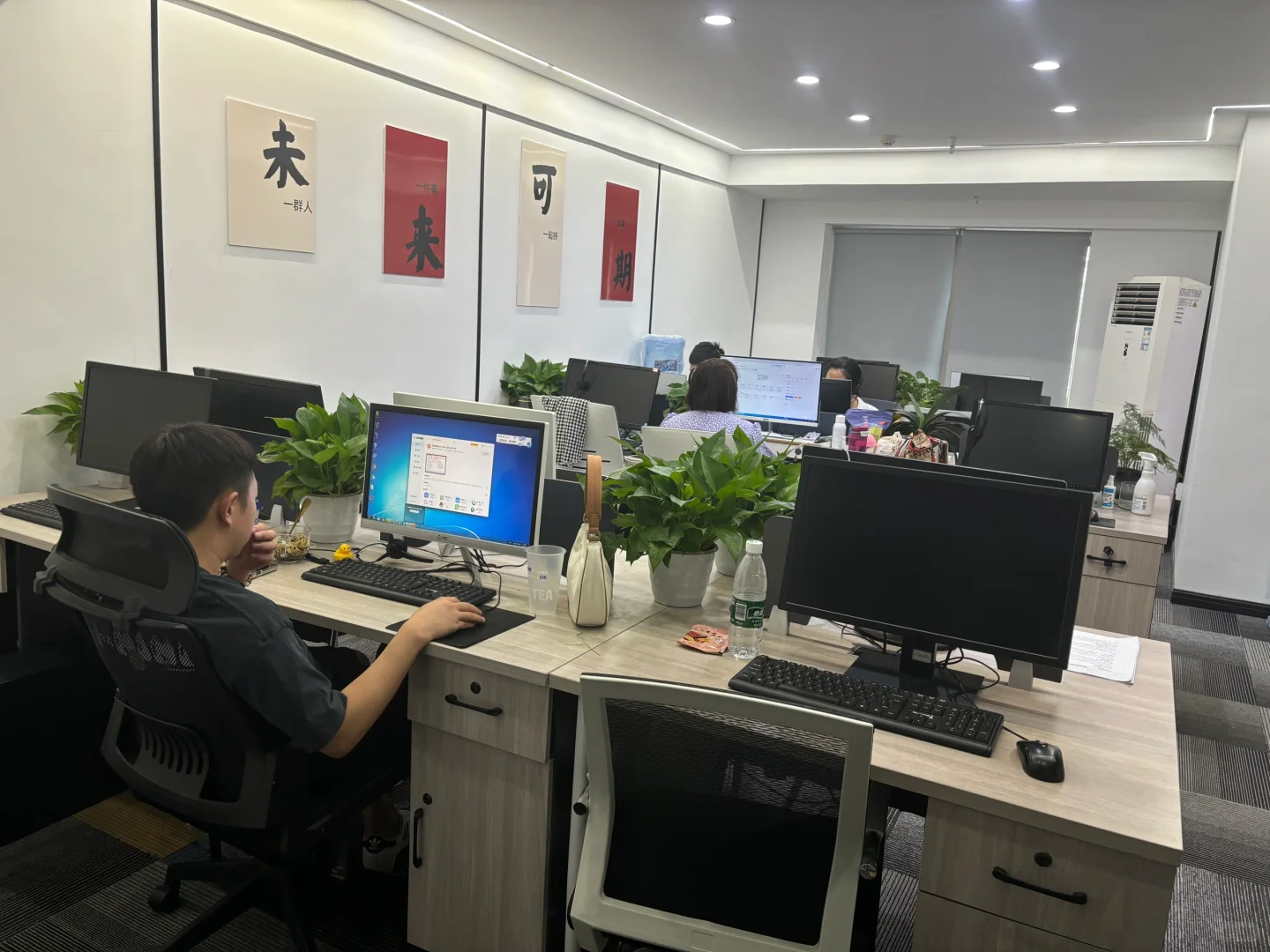 姐妹的公司，8个人