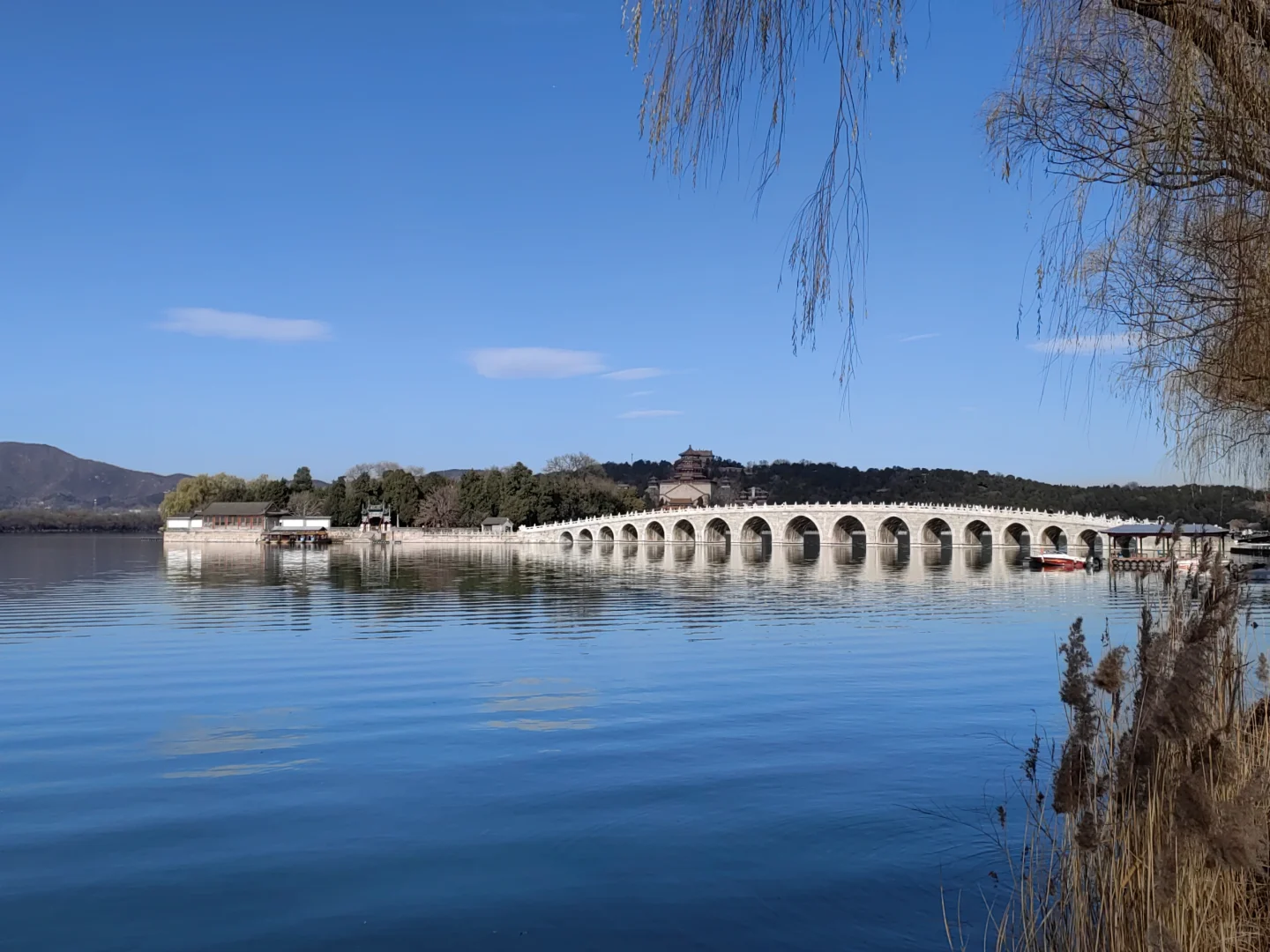 公司董事会行政助理岗位招聘