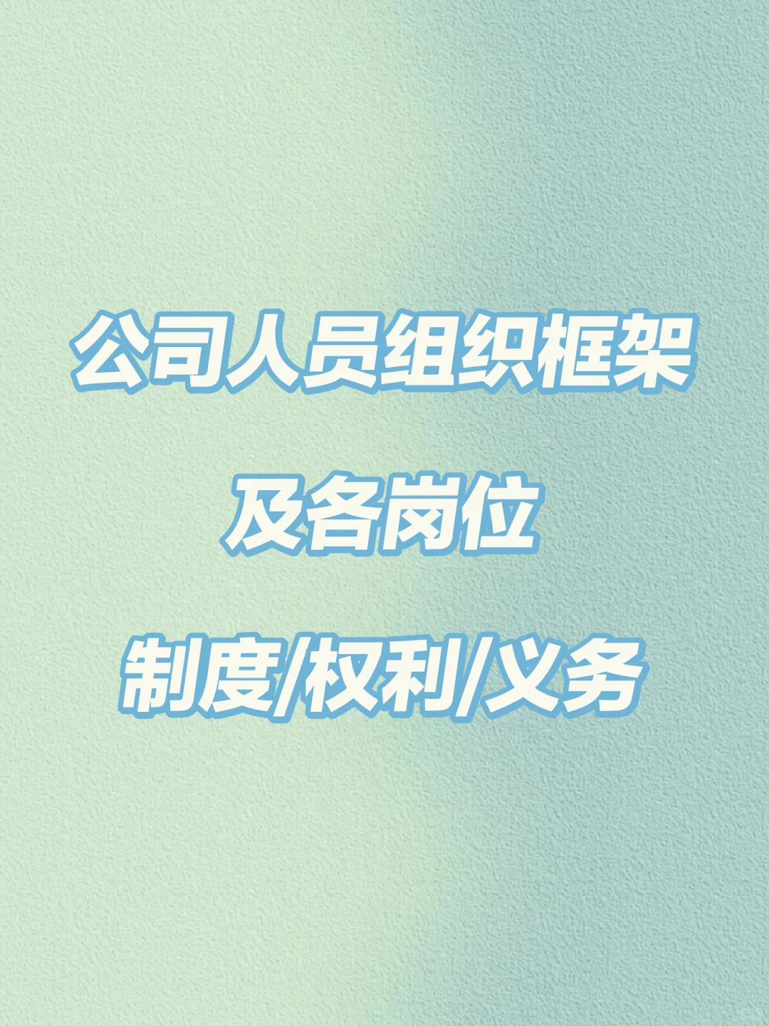 公司人员组织框架及各岗位制度/权利/义务