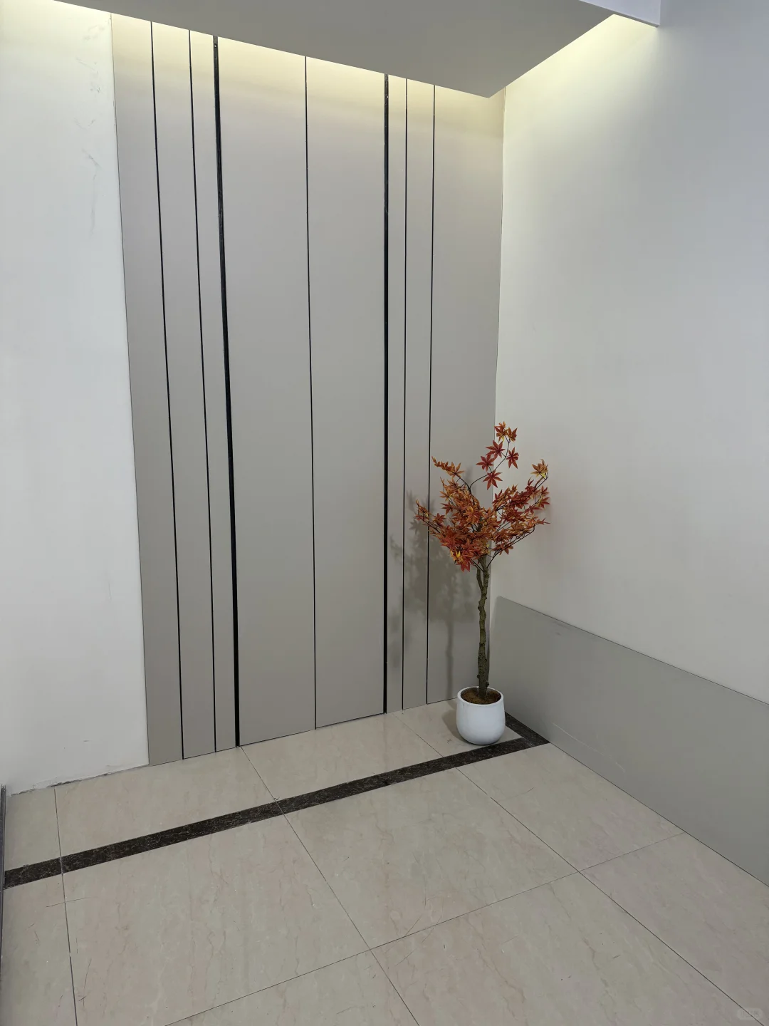 初创公司 半个月进度