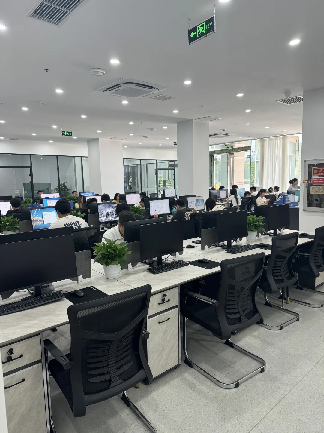 初创公司 半个月进度