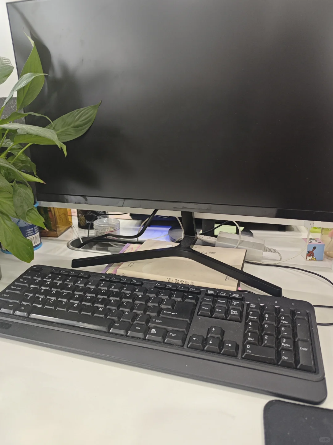 入职第二天，发现公司又挂了我的岗位🤒