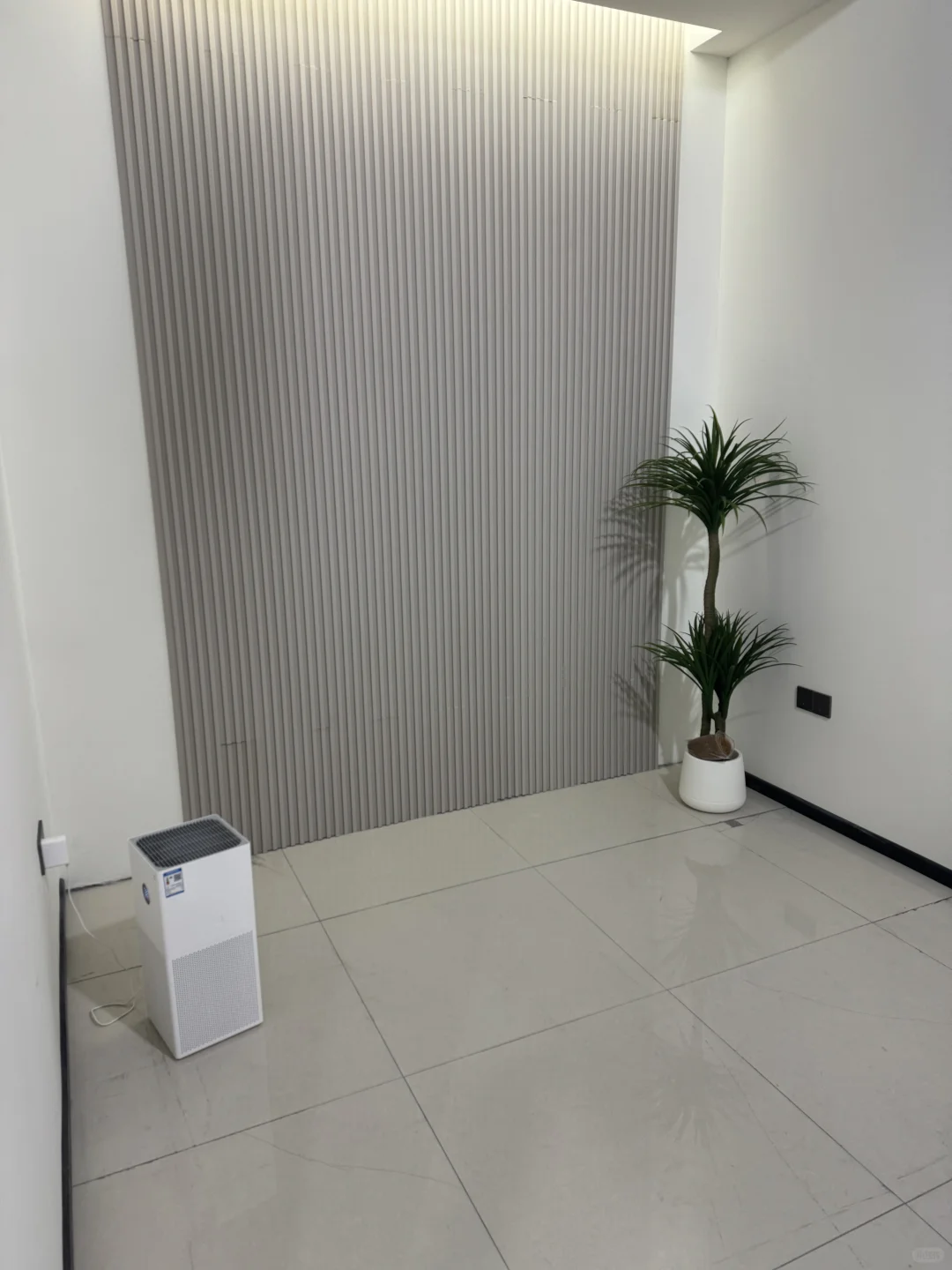 初创公司 半个月进度