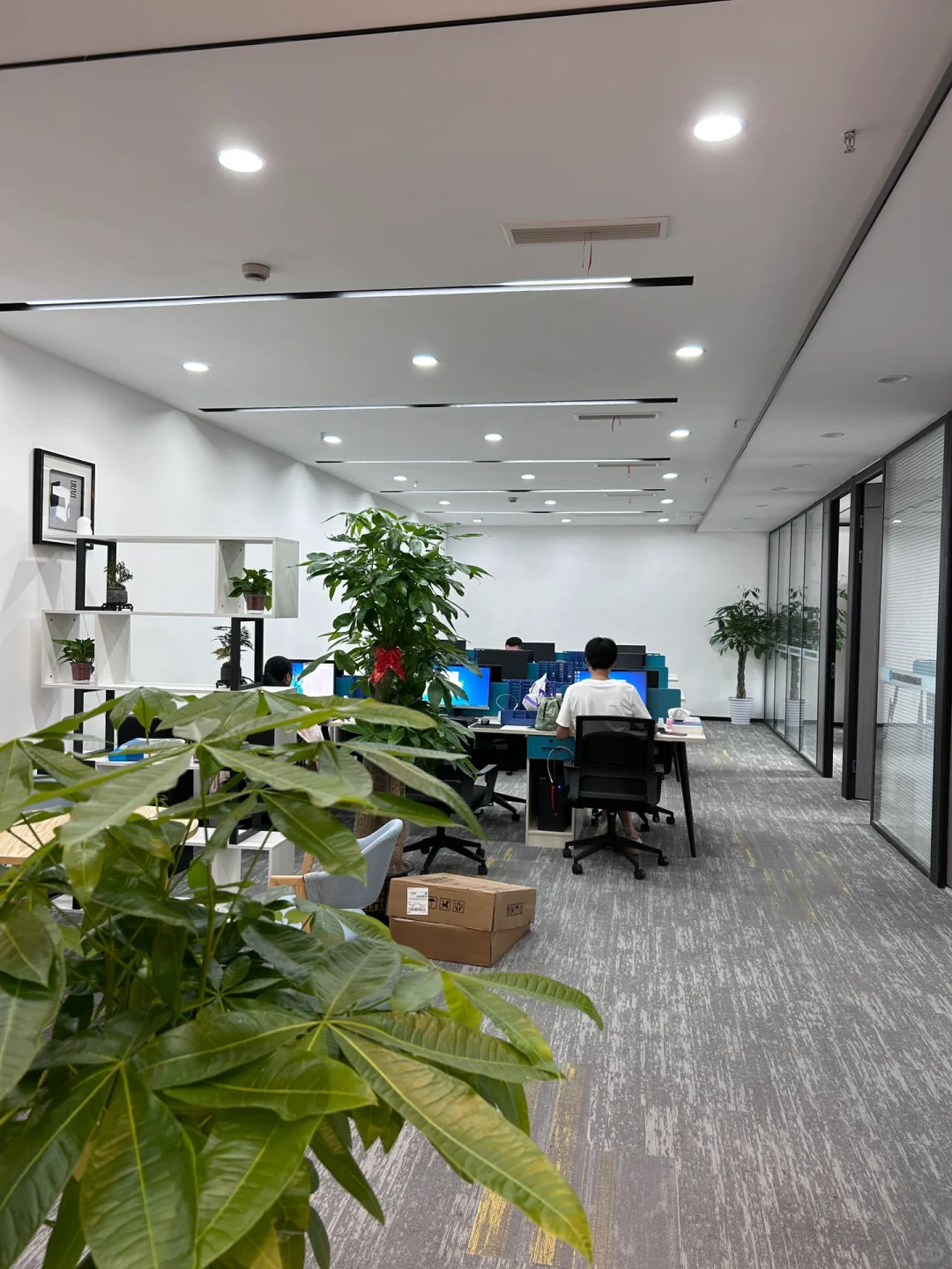 终于找到了成都周末双休的神仙公司！