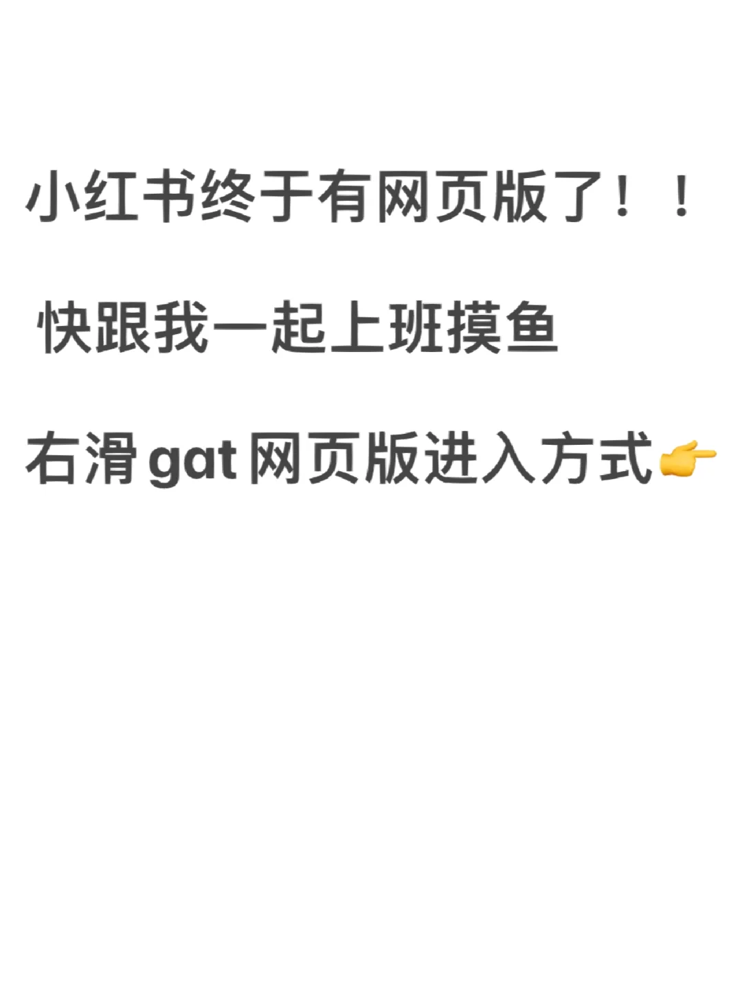 小🍠终于有网页版了！！上班电脑看也太爽了