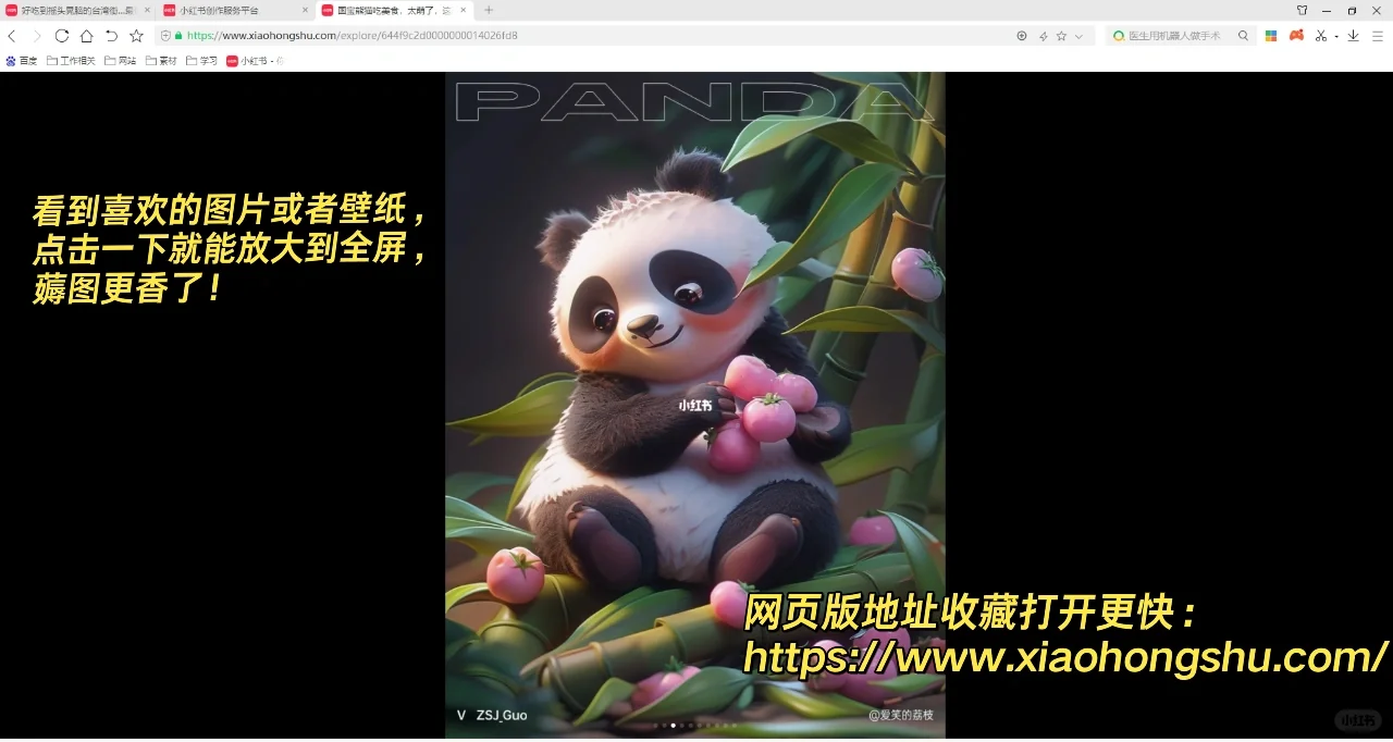 教程|小红书电脑网页版，超省时好用啊！