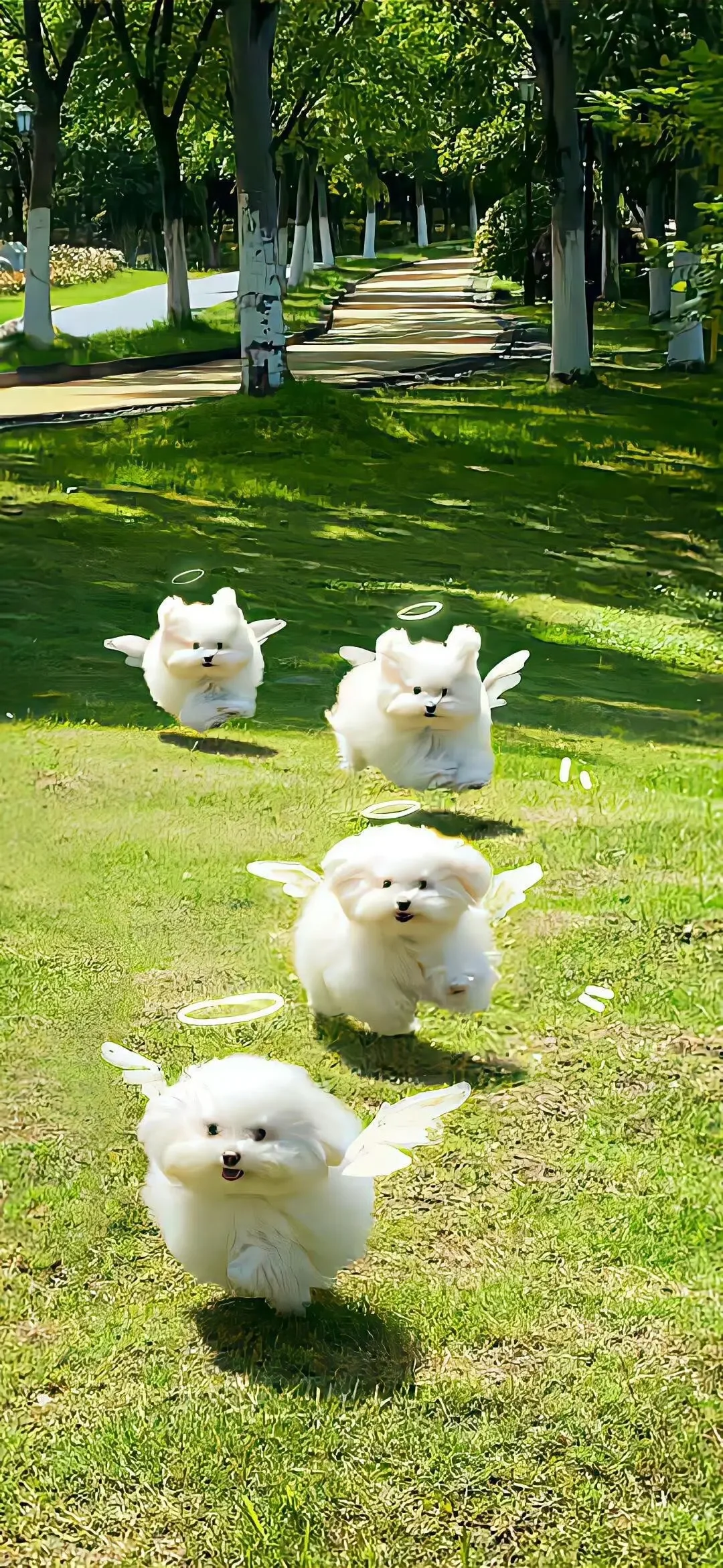 保存无水印图片只需要打开网页版小红书