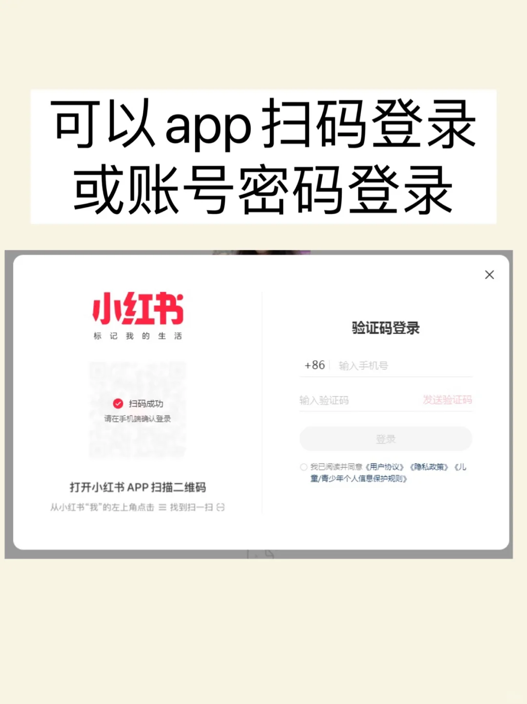 小🍠终于有网页版了！！上班电脑看也太爽了