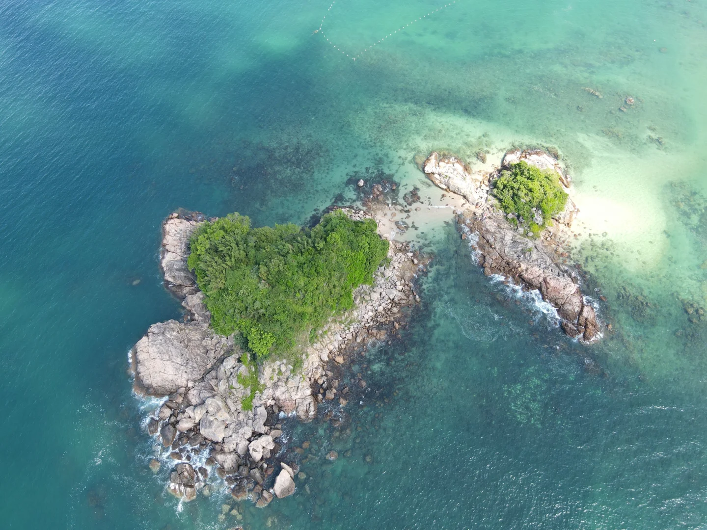 深圳招聘｜跟我们一起去看世界叭🗺️