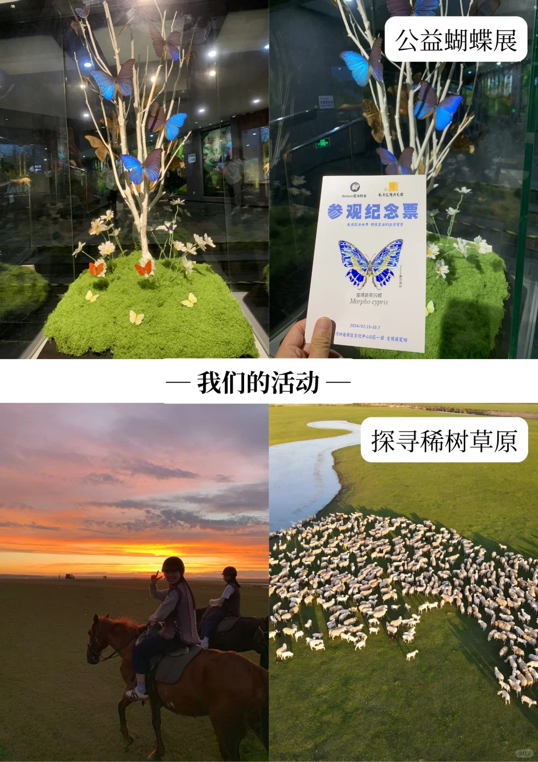深圳招聘｜跟我们一起去看世界叭🗺️