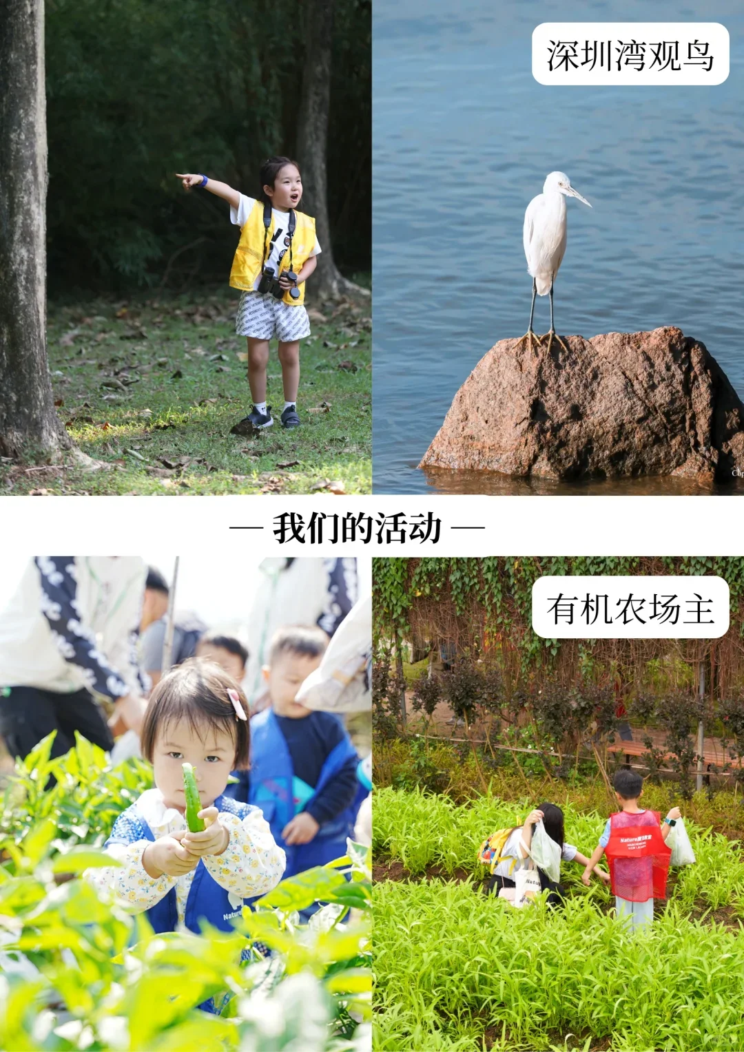深圳招聘｜跟我们一起去看世界叭🗺️