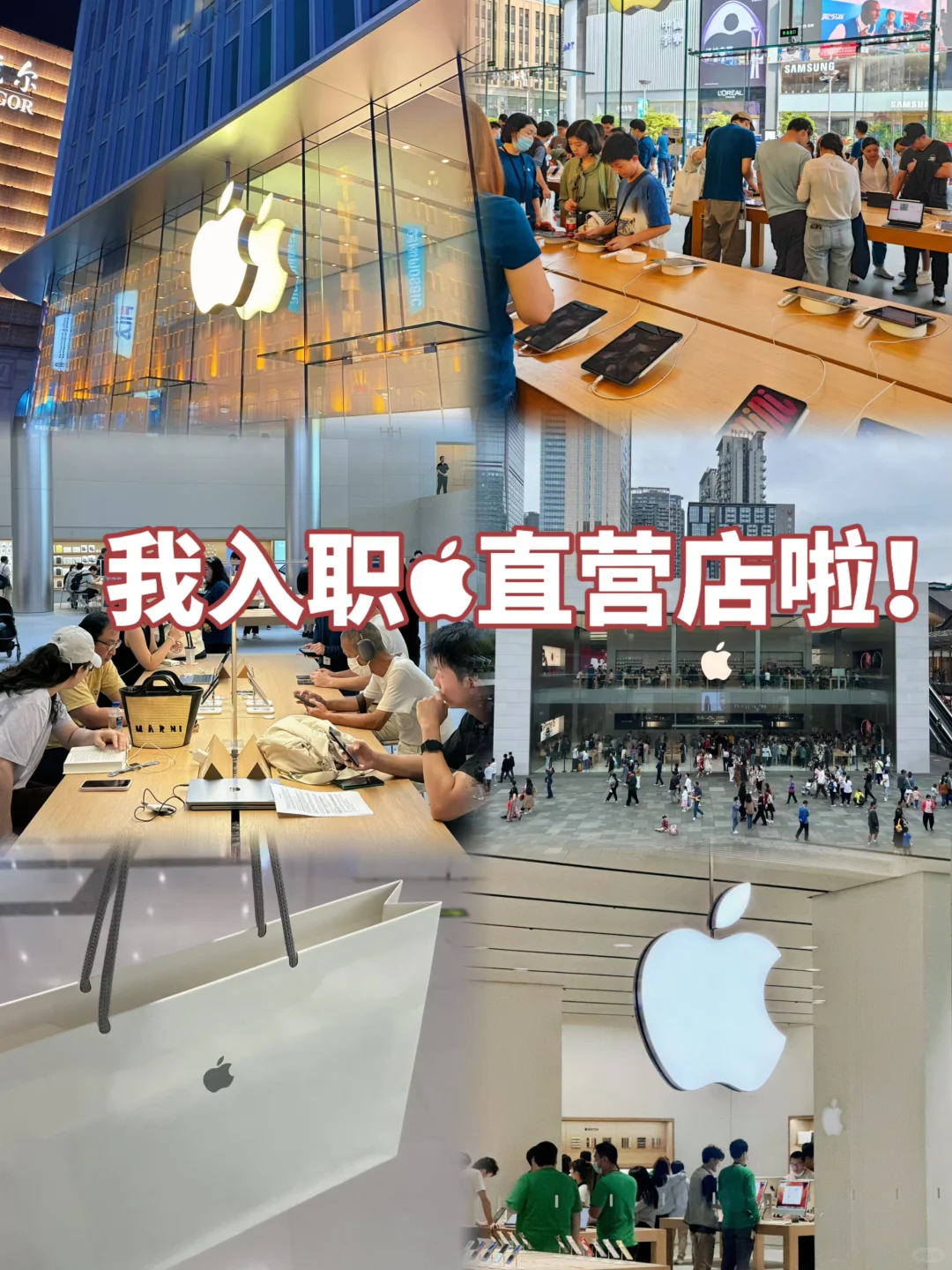 入职🍎的入职分享💓