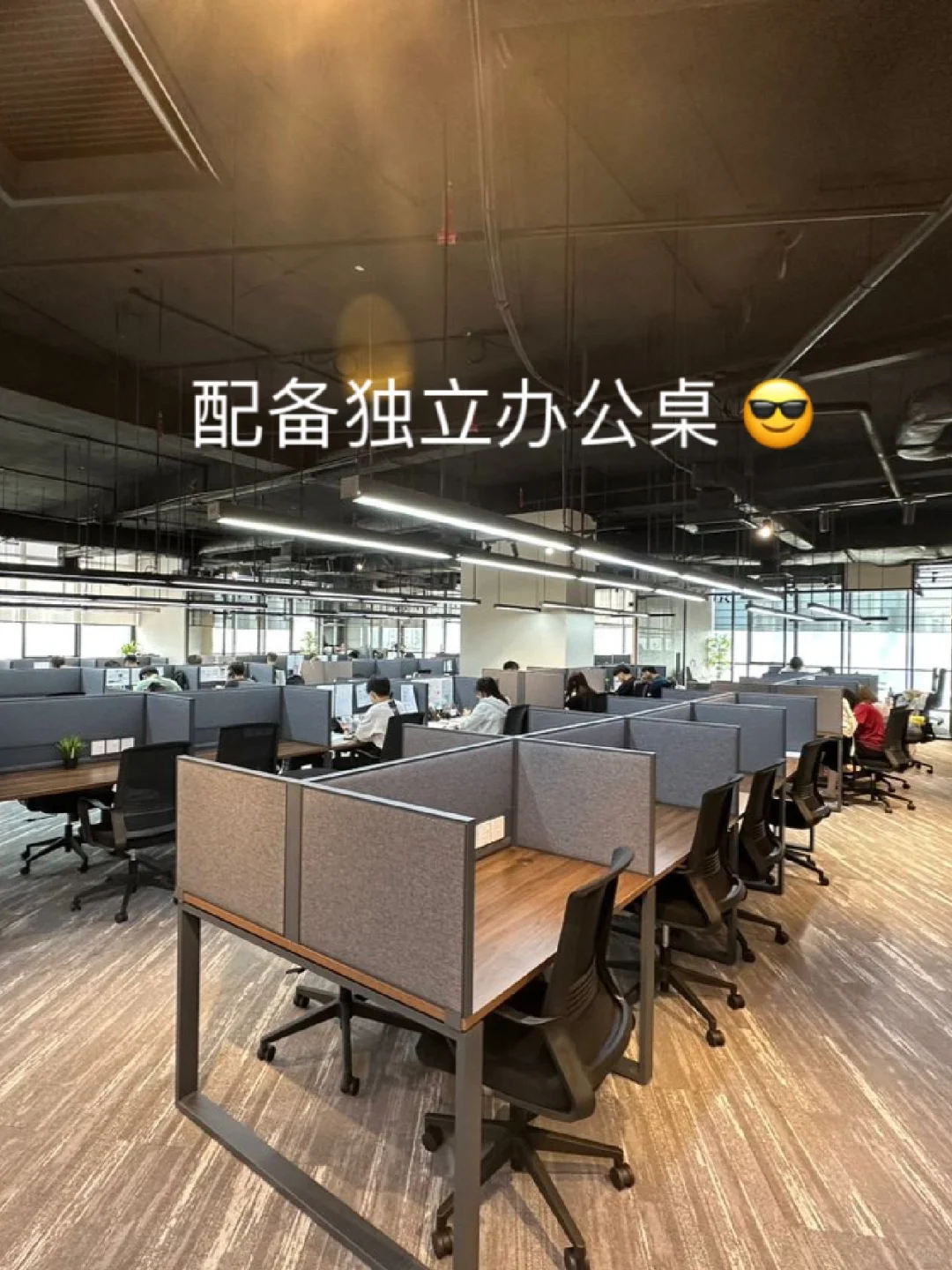 Xhs上找到的神仙公司！🇲🇾