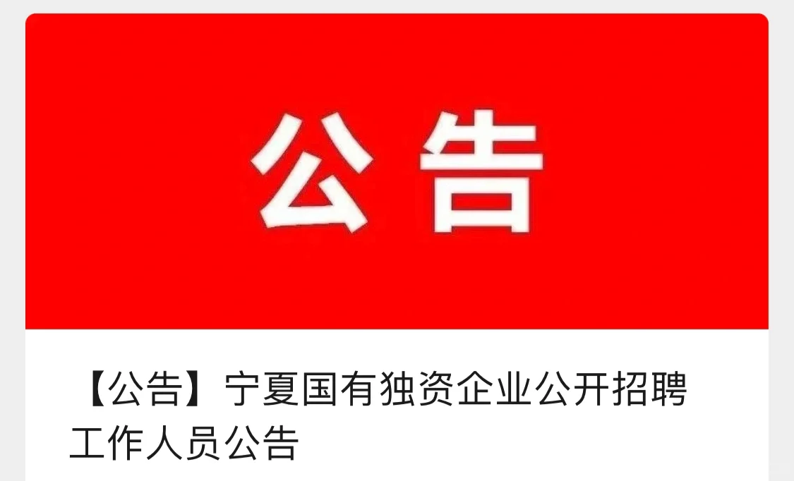 宁夏商务投资开发有限公司招聘公告