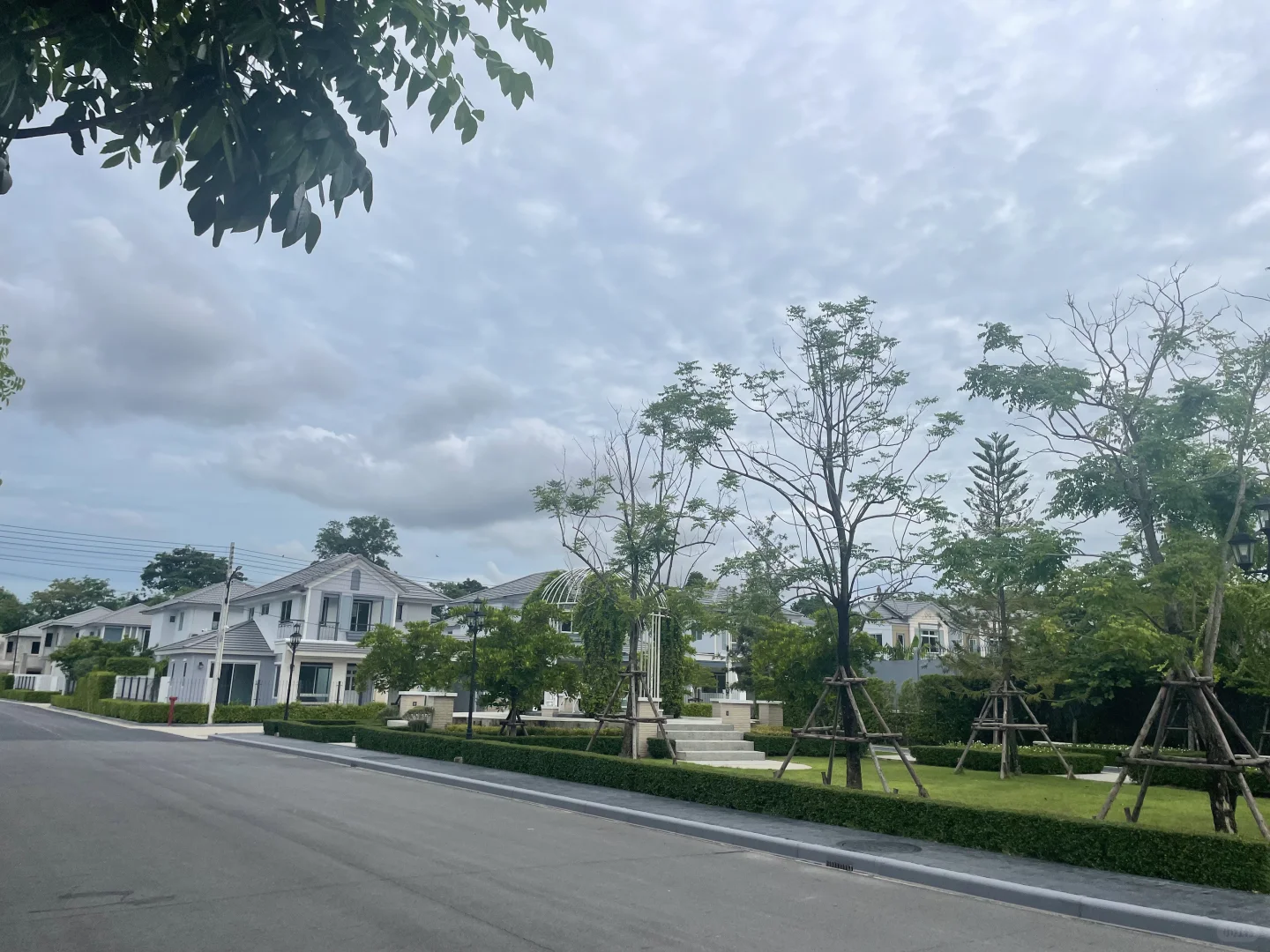 泰国罗勇招聘啦