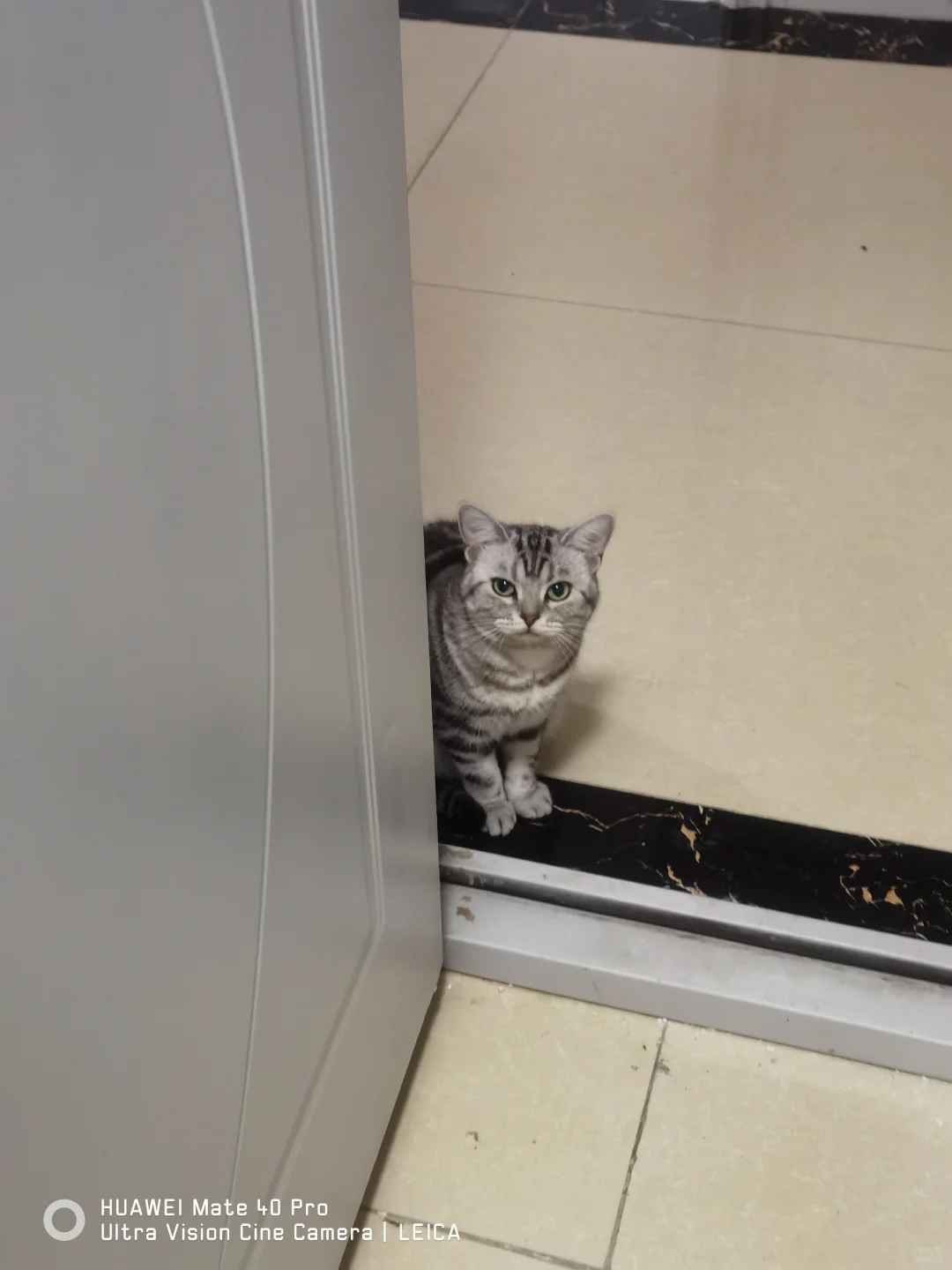 收到某币圈公司面试