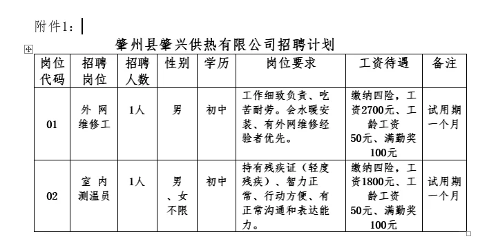 (国企)肇州县肇兴供热有限公司招聘公告
