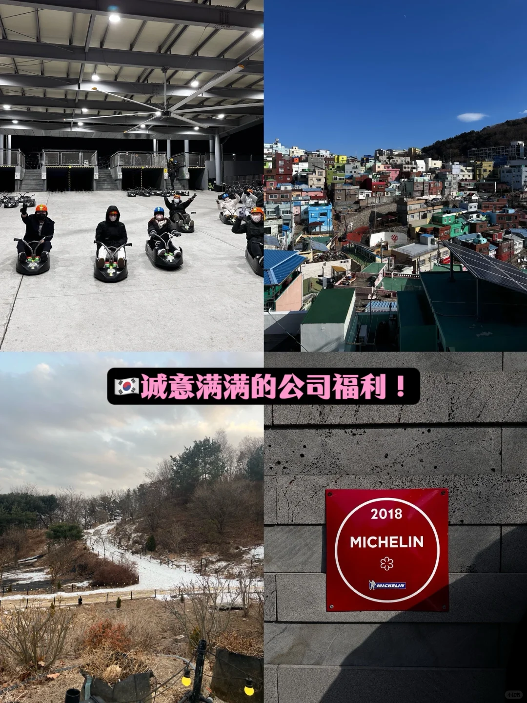 Xhs上找到的神仙公司！🇲🇾