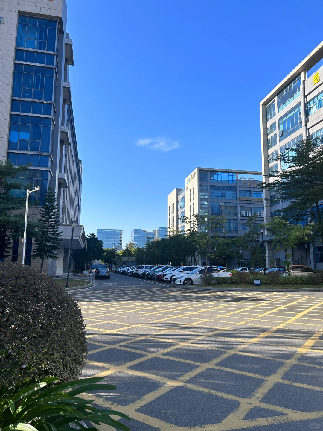 只招女生医疗厂月薪7000左右、我待了三年多