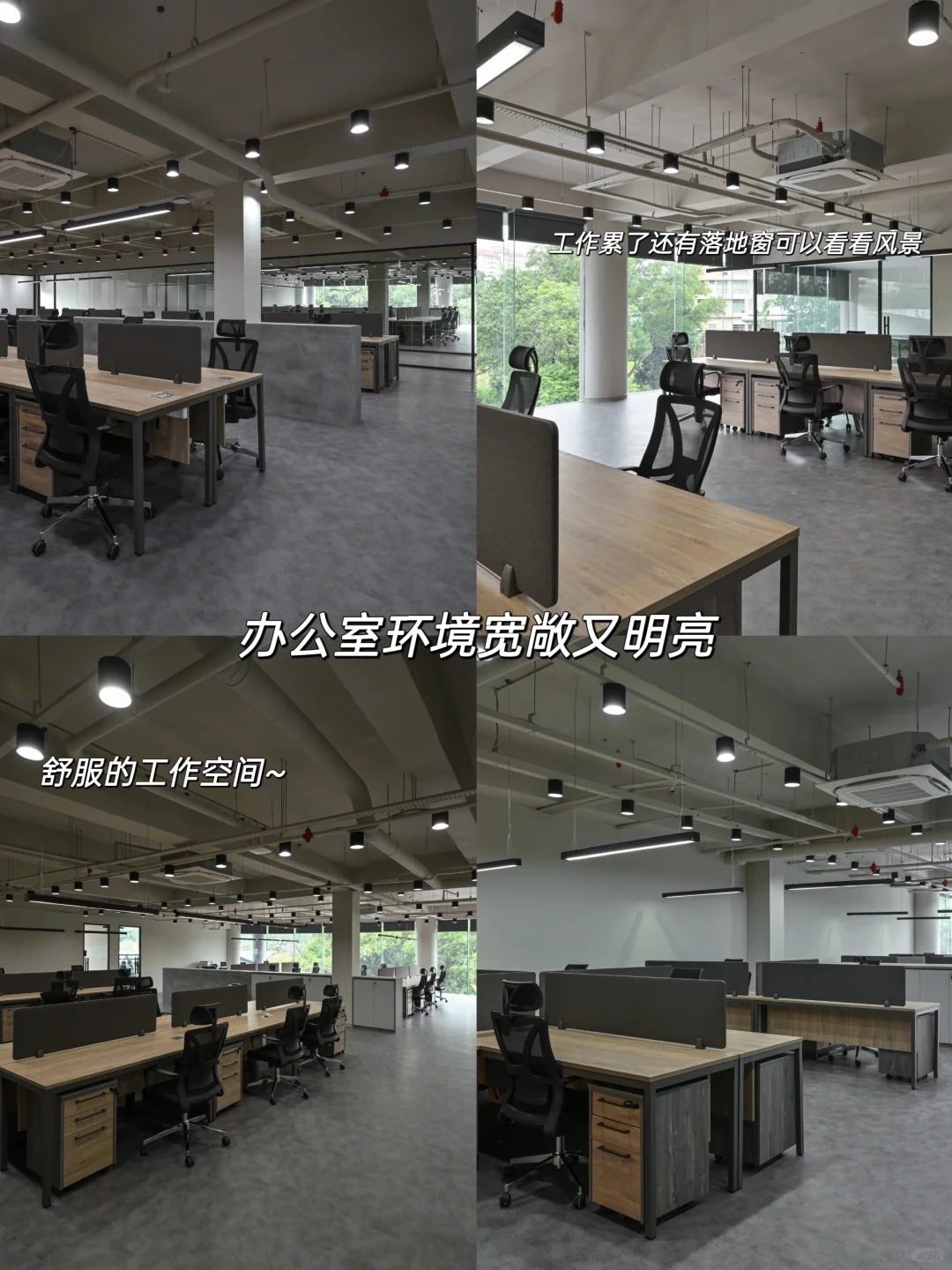 🇲🇾 我们公司招人啦！