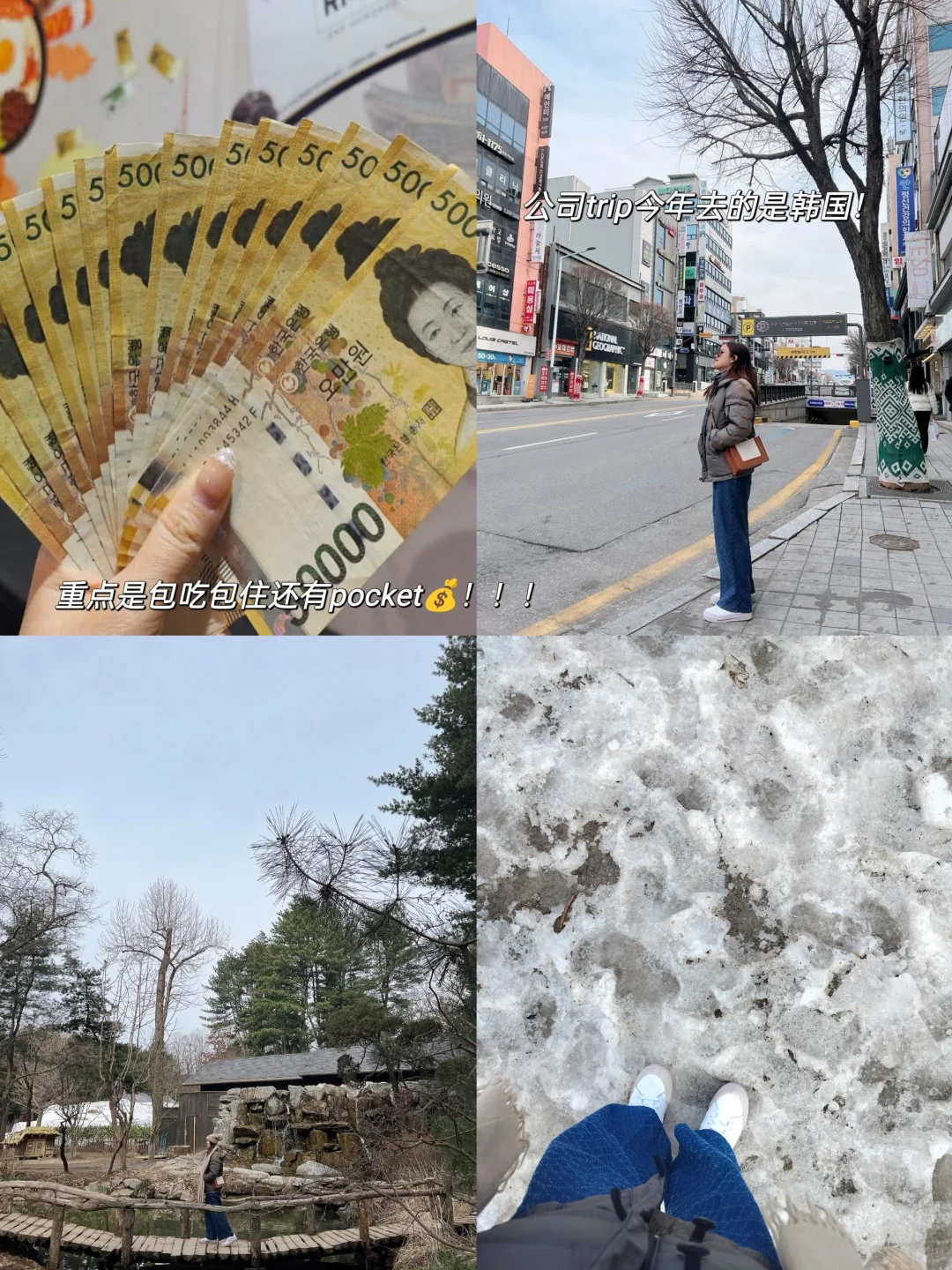 🇲🇾 我们公司招人啦！