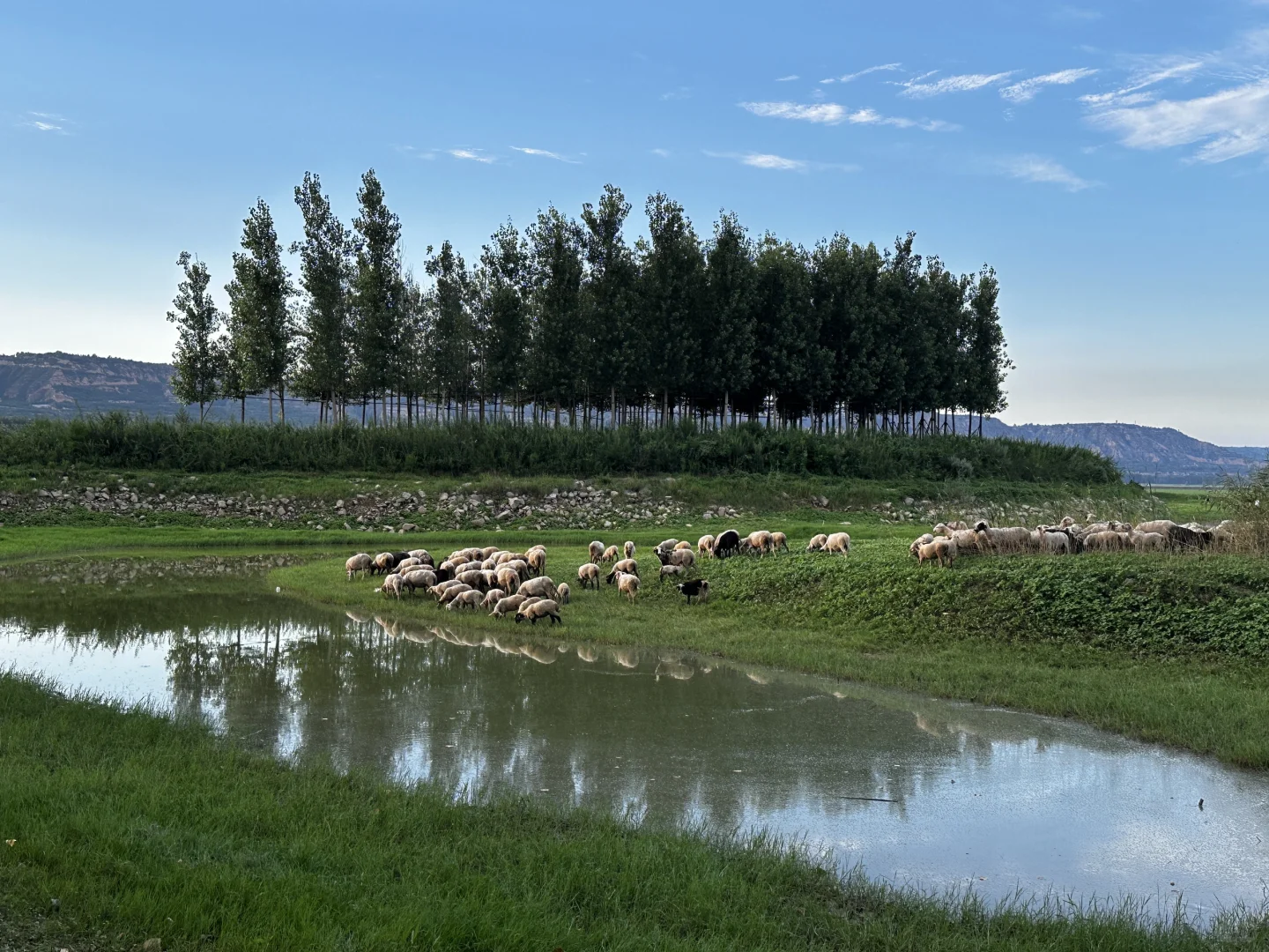 洛阳大张储备干部经验贴