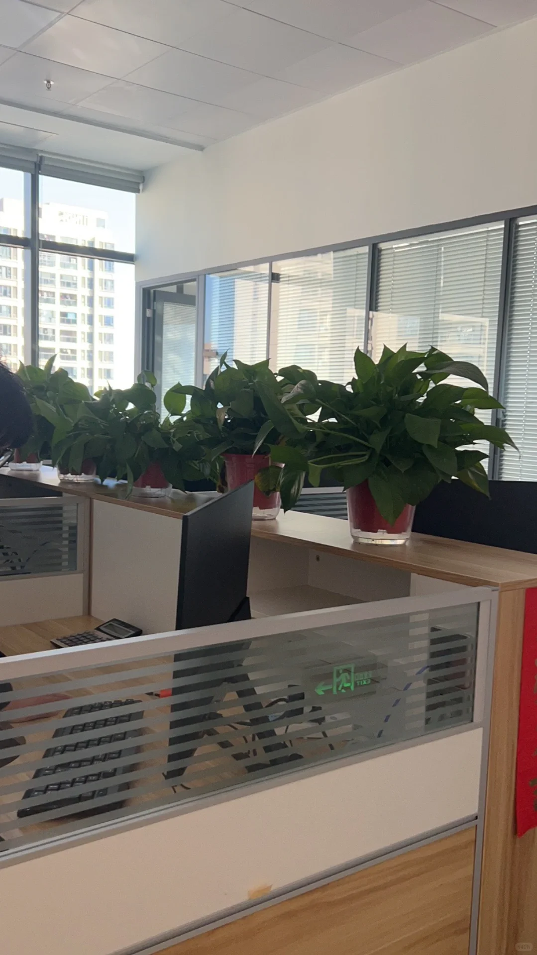 入职了一个只有九个人的新公司