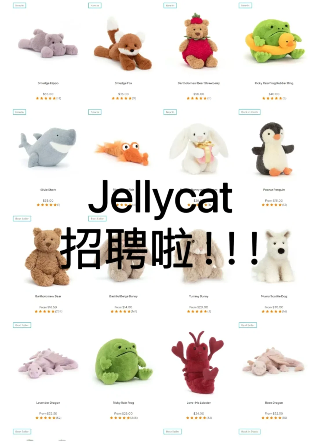月薪30k多岗位【jellycat】招聘啦！