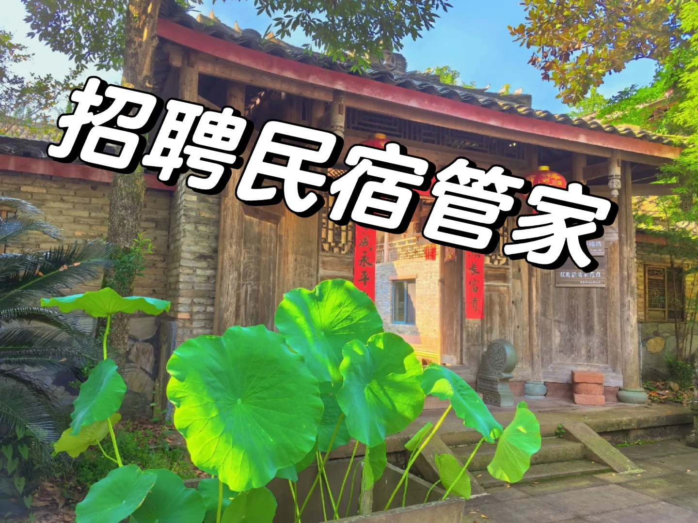 招聘一位民宿管家