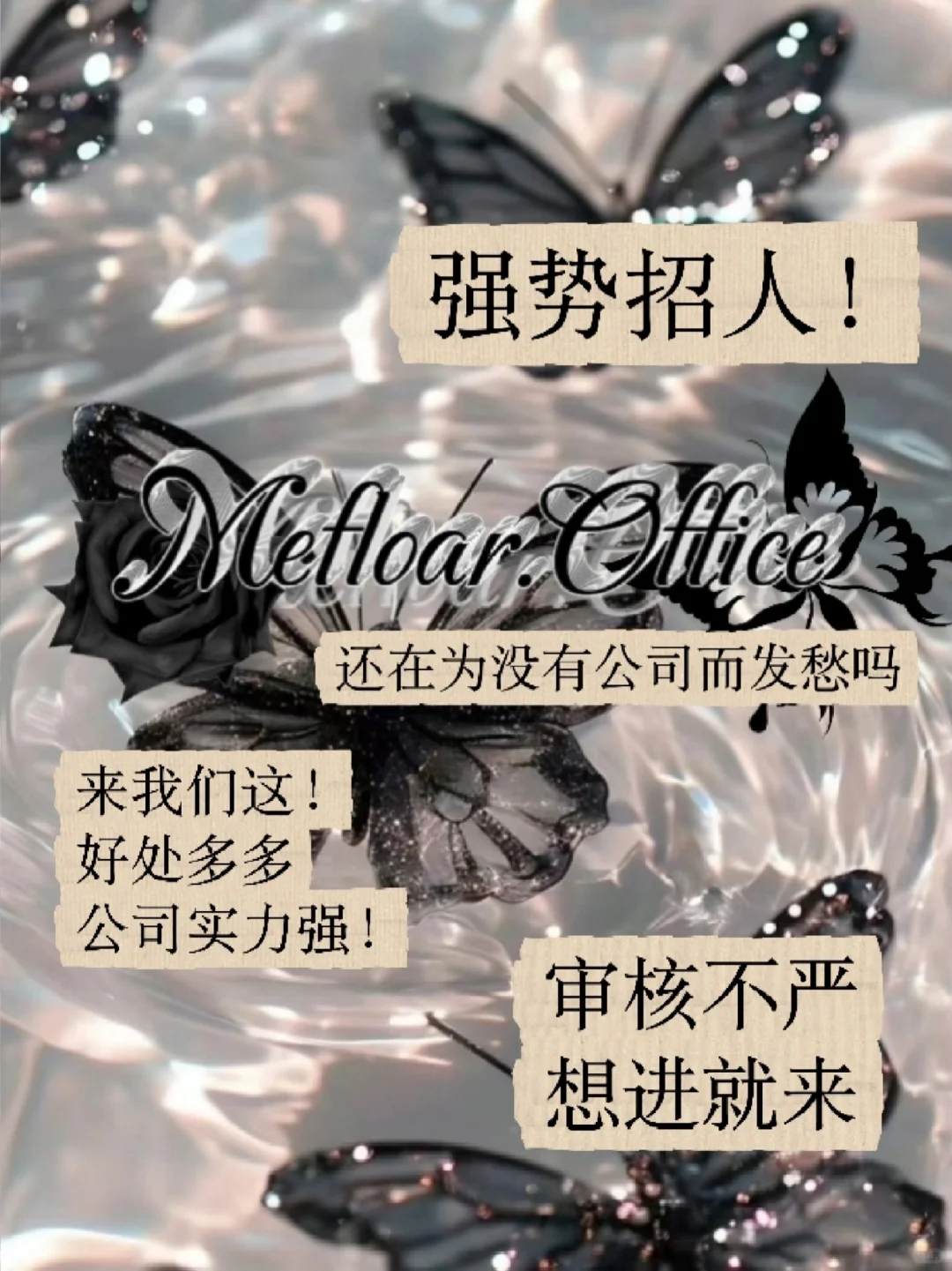 什么？崽崽公司又开始招人了？