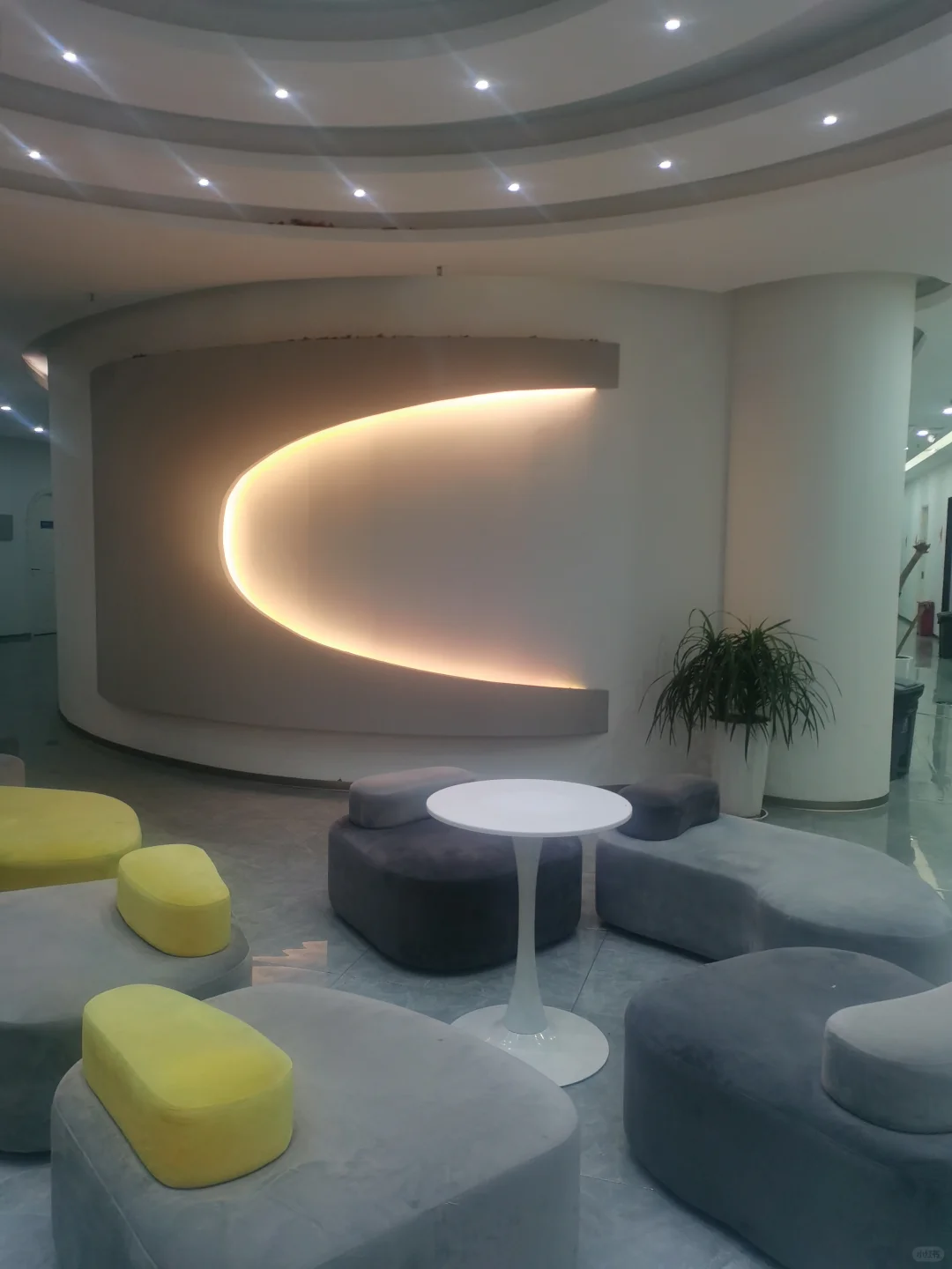 重生之我在传媒公司做经纪人…